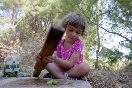Pounding olives for pickling and extracting oil during KKL-JNF olive harvesting event over the Sukkot festival. Photo: Ancho Gosh, KKL-JNF Photo Archive
