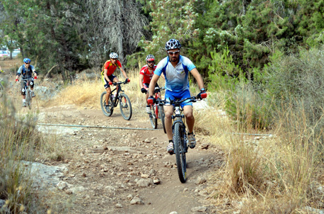 תוכן מיועד לתמונה ראשונה