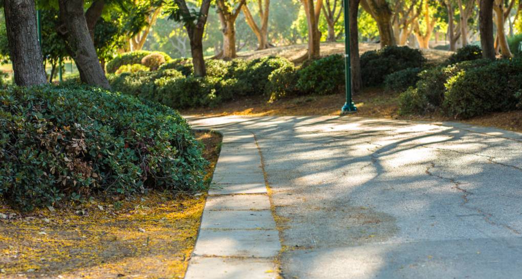 ፎቶግራፍ: ኬኬኤል-ጄኤንኤፍ የፎቶ ማህደር