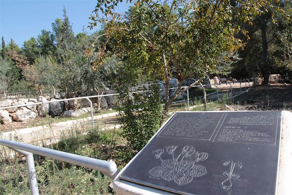 Morris Kaufman Recreation Area for the Blind. Photo: Yaakov Skolnik.