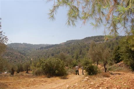 ፎቶ: ማልካ ባራካይ ፣ የኬኬኤል-ጄኤንኤፍ እየሩሳሌም