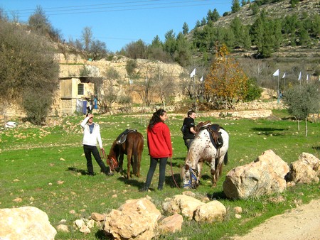 ፎቶ: የኬኬኤል-ጄኤንኤፍ የፎቶ መዝገብ ቤት