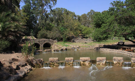 ፎቶ: ያኮቭ ሽኮልኒክ