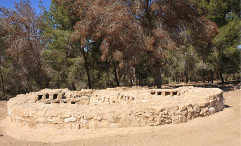 Abu Hof. Photo: Yaakov Shkolnik.