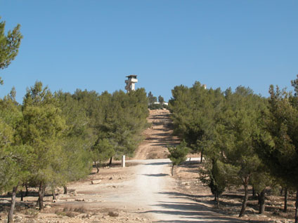 Photo: Yaakov Shkolnik.