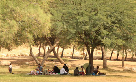 ፎቶ: ያኮቭ ሽኮልኒክ