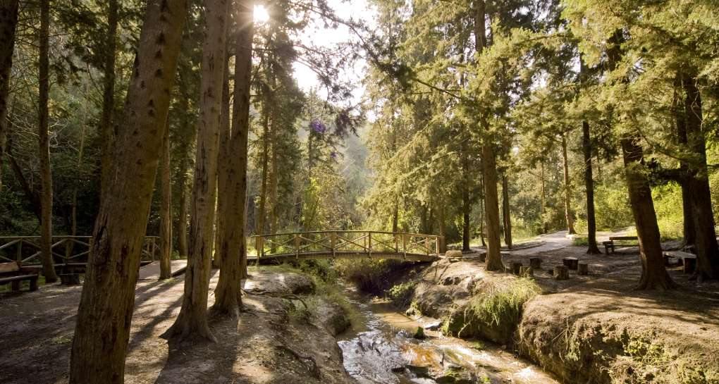 ፎቶ: ኬኬኤል-ጄኤንኤፍ የፎቶ ማህደር