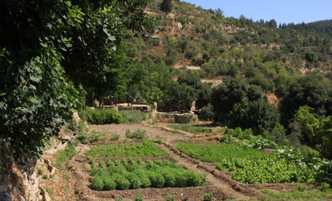 Photo: Yaakov Shkolnik.