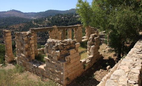 Photo: Yaakov Shkolnik.