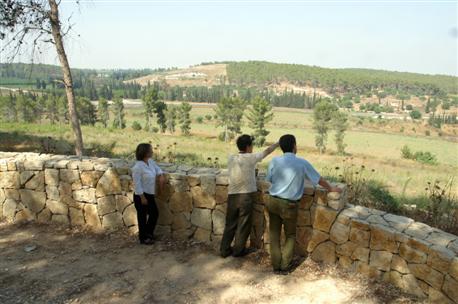 የሃማላኪም የደን እይታ። ፎቶ: ኬኬኤል-ጄኤንኤፍ ማህደር።