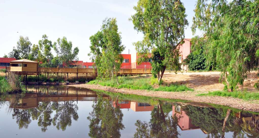 የሻፊር የክረምት ኩሬ። ፎቶ፡ ራፊ ቤን ሃኮን