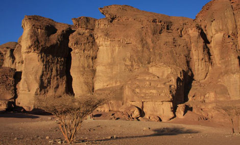 ፎቶ: ያኮቭ ሽኮልኒክ