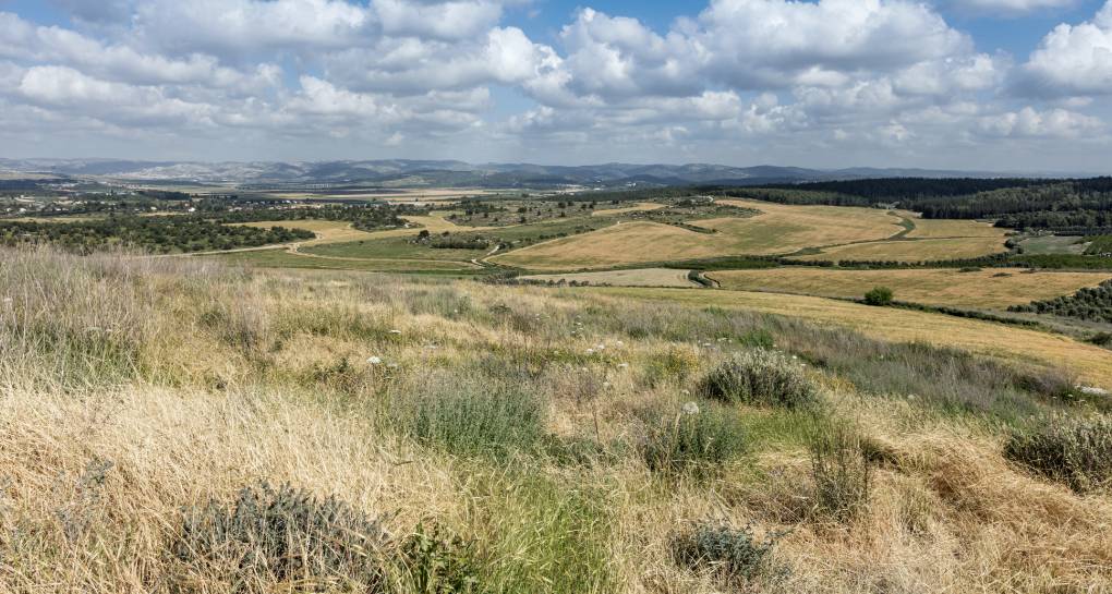 ፎቶ: ኬኬኤል-ጄኤንኤፍ የፎቶ መዝገብ ቤት