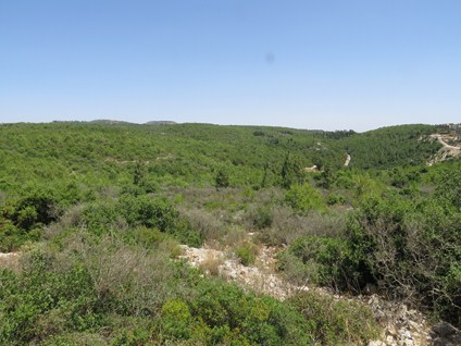 ፎቶ: ዮአቭ ዴቪር