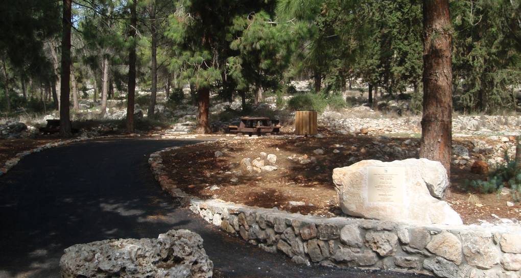 ፎቶ: ኬኬኤል-ጄኤንኤፍ የፎቶ ማህደር