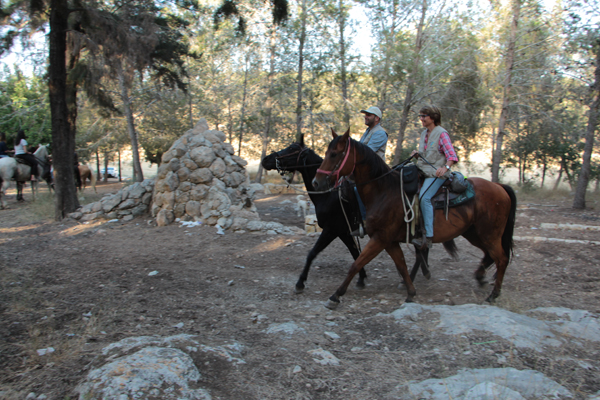 Dina, Ronen and the Horses. Photograph: Yoav Dvir Dina, Ronen and the Horses. Photograph: Yoav Dvir