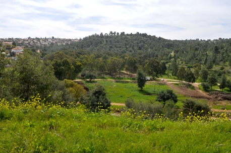 ፎቶ: ኬኬኤል-ጄኤንኤፍ የፎቶ መዝገብ ቤት