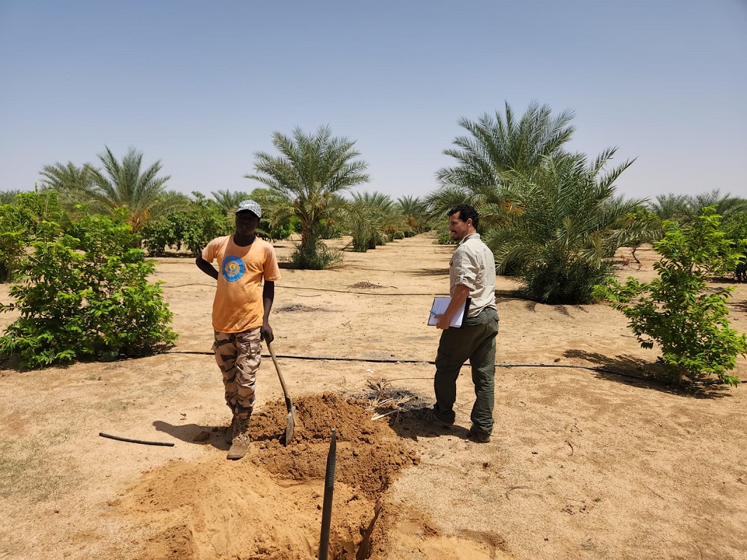 الصورة: مكرمة من الصندوق القومي الإسرائيلي