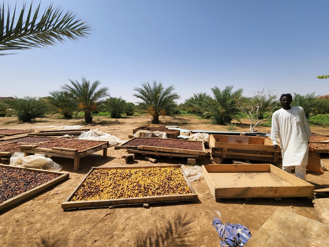 الصورة: مكرمة من الصندوق القومي الإسرائيلي