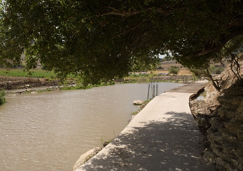 وادي تسيبوري صفورية. تصوير: يسرائيل بيرتس، أرشيف صور الصندوق القومي الإسرائيلي.