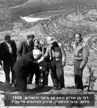 דוד בן גוריון נוטע עץ ביער ירושלים, 1958.  צילום: אדגר הירשביין, ארכיון הצילומים של קק"ל