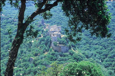פארק גורן. צילום: ארכיון הצילומים של קק''ל