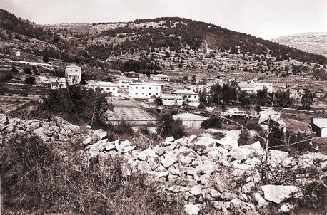 קריית ענבים. צילום: ארכיון הצילומים של קק''ל