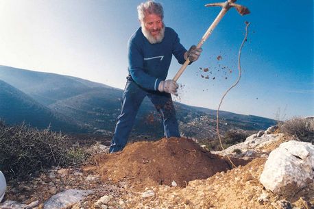 עולה חדש מכין גומה לקראת הנטיעה הראשונה שלו בארץ ישראל, סמוך ליער קנדי. צילום: ארכיון הצילומים של קק''ל