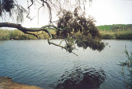 נחל פולג בסיומן של העבודות להחייאת אפיקו של הנחל. צילום: ארכיון הצילומים של קק''ל
