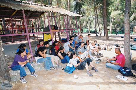 פעילות חינוכית במחנה הנוער של קק''ל, יער לביא. צילום: ארכיון הצילומים של קק''ל