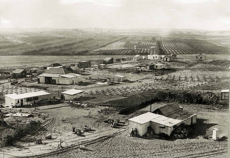 כפר ויתקין, ינואר 1935. צילום: ארכיון הצילומים של קק''ל