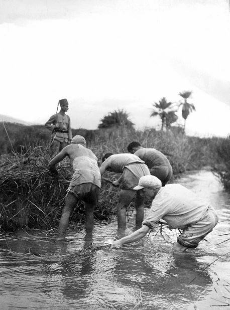 ניקוז ביצות העמק. צילום: ארכיון הצילומים של קק''ל