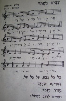 "עצים נשתול"