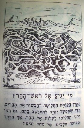 "מי יגיע אל ראש ההר?"