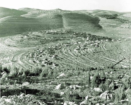 ראשיתו של יער יתיר. צילום: ארכיון הצילומים של קק''ל