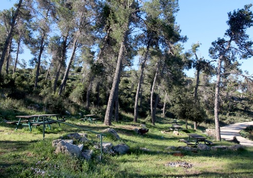 جبل الرياح. تصوير: يعقوب شكولنيك، ارشيف صور الصندوق القومي الإسرائيلي