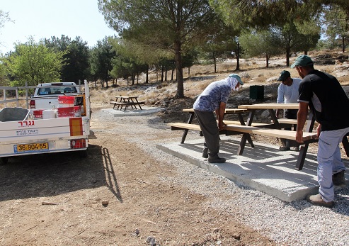 موقف التخييم مزرعة مرشام في غابة موران. تصوير: يعقوب شكولنيك، ارشيف صور الصندوق القومي الإسرائيلي