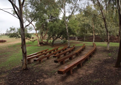 الغابة الجماهيرية شوكدا. تصوير: يعقوب شكولنيك، ارشيف صور الصندوق القومي الإسرائيلي