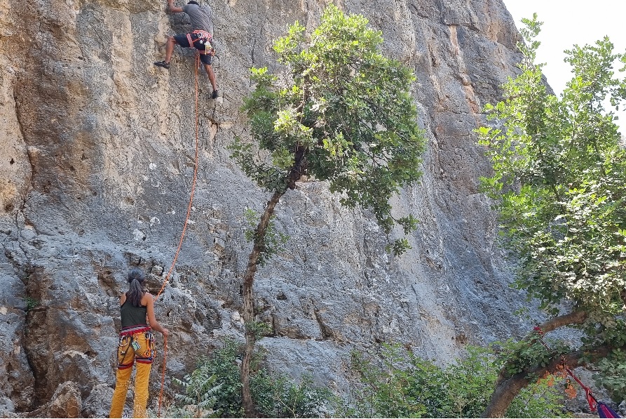 تصوير: عدي طنا نتان، الصندوق القومي اليهودي (كيرن كييمت ليسرائيل) تصوير: عدي طنا نتان، الصندوق القومي اليهودي (كيرن كييمت ليسرائيل)