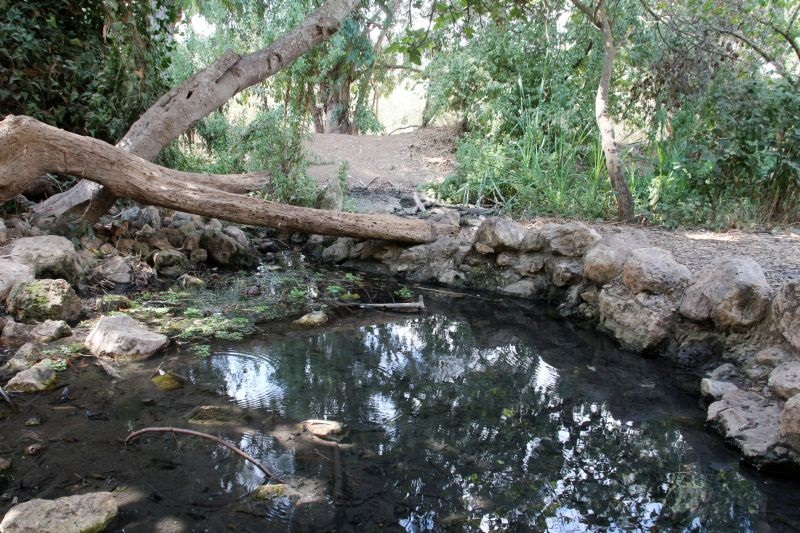 تصوير : يعقوب شكولنيك أرشيف الصور التابع للصندوق القومي اليهودي (كيرن كييمت ليسرائيل) تصوير : يعقوب شكولنيك أرشيف الصور التابع للصندوق القومي اليهودي (كيرن كييمت ليسرائيل)