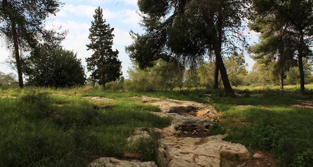 تصوير: أرشيف الصور التابعة إلى الصندوق القومي الإسرائيلي