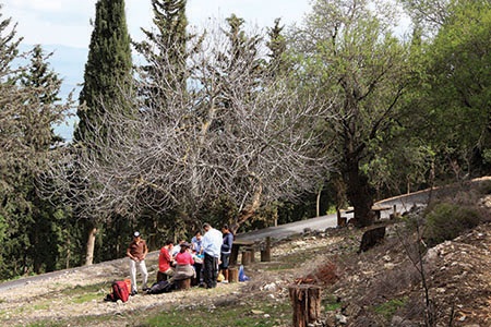 עין מרגנית. צילום: ארכיון צילומי קקל