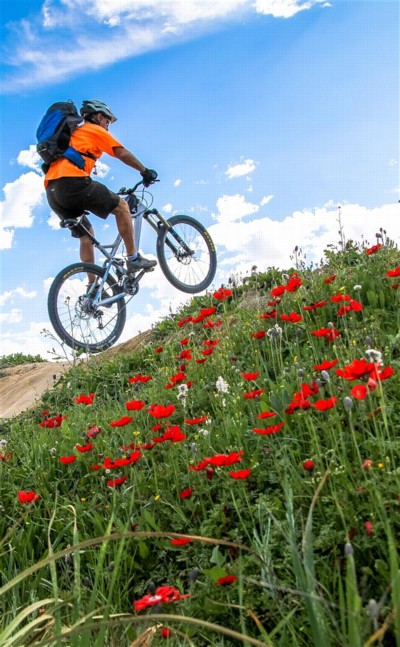 סינגל בארי. צילום: יואב לביא