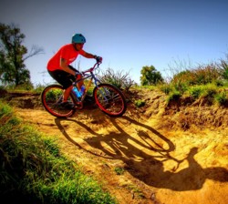 טיול אופניים בארי. צילום: יואב לביא