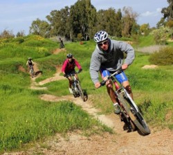 מסלול אופניים בארי. צילום: יואב לביא