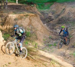 יער בארי אופניים. צילום: אילן שחם