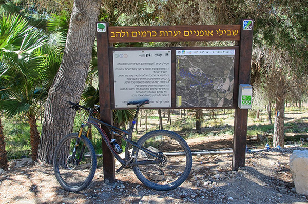 סינגל אלון ביער להב - קרן קימת לישראל – קק