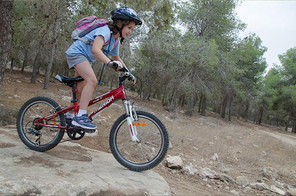 סינגל יער להב. צילום: אילן שחם, ארכיון הצילומים של קק"ל