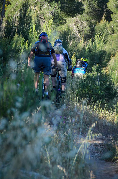 סינגל יער להב. צילום: אילן שחם, ארכיון הצילומים של קק"ל