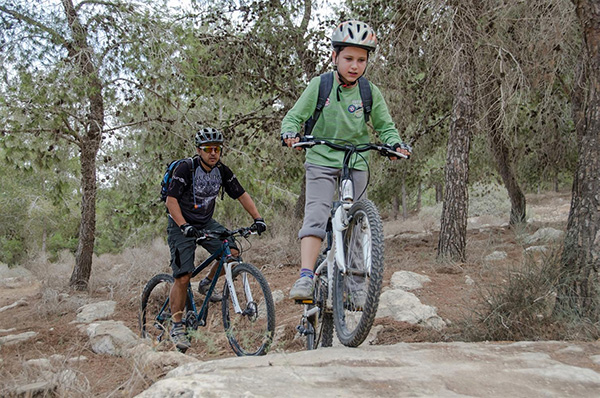 סינגל יער להב. צילום: אילן שחם, ארכיון הצילומים של קק"ל